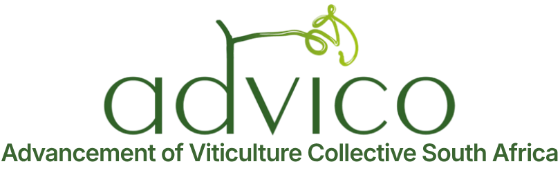 Advico